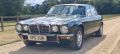JAGUAR XJ 12 L - 2441 - 24