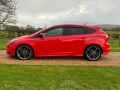 FORD FOCUS ST-2 - 2645 - 12