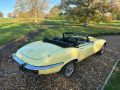 JAGUAR E  TYPE  5.3  CONVERTIBLE     E  TYPE  V 12  CONVERTIBLE  MANUAL - 2483 - 14